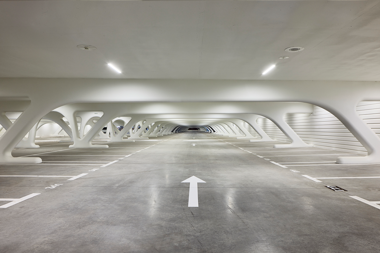 卡拉特拉瓦新作:比利时蒙斯火车站